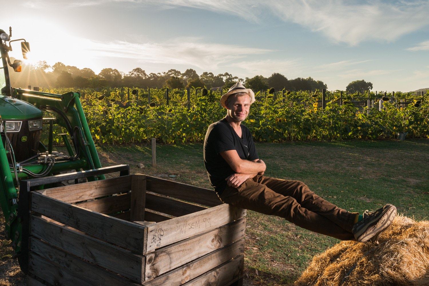 Environmental portrait beside a tractor with low sunlight across a vineyard